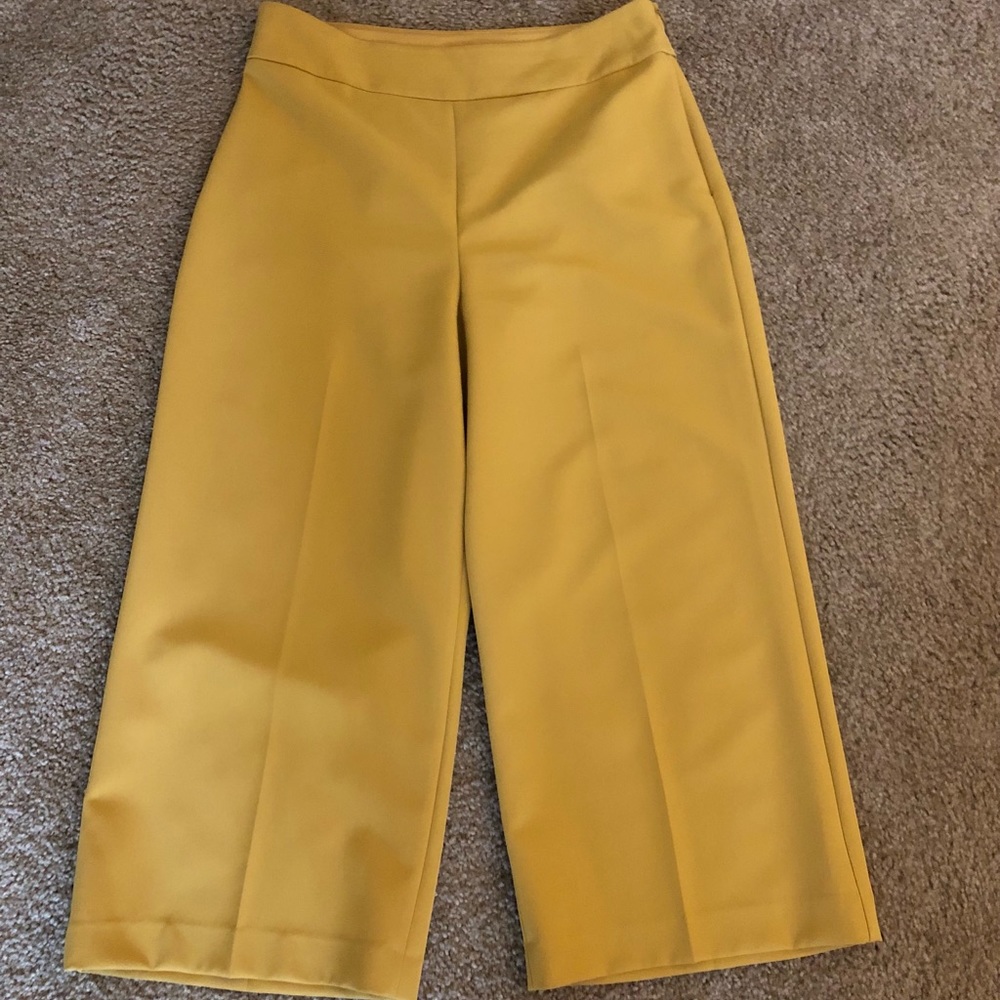Express pants
